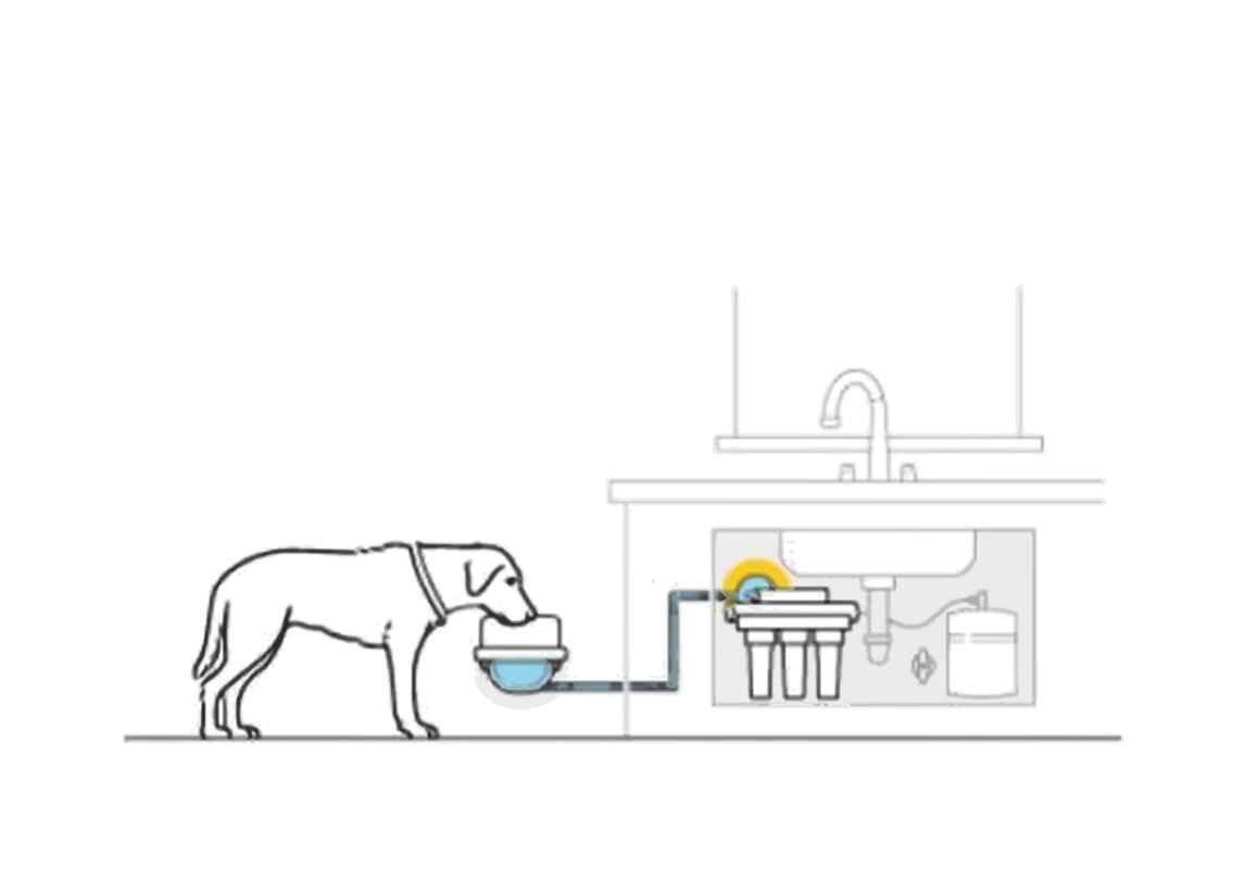 Connect to reverse osmosis filter for the cleanest possible water.